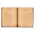 LIBRO LISO DE BRONCE