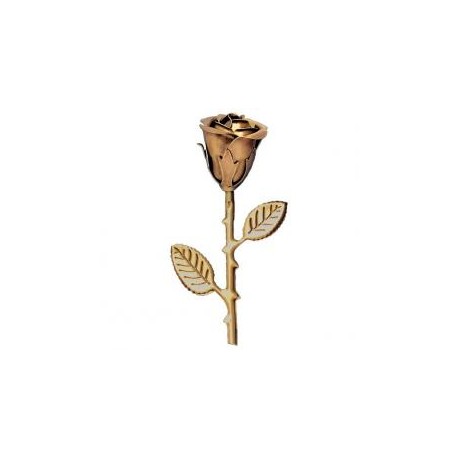 ROSA DE BRONCE